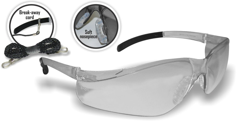 CLEAR LENS ANTI-FOG SAFETY GLASSES